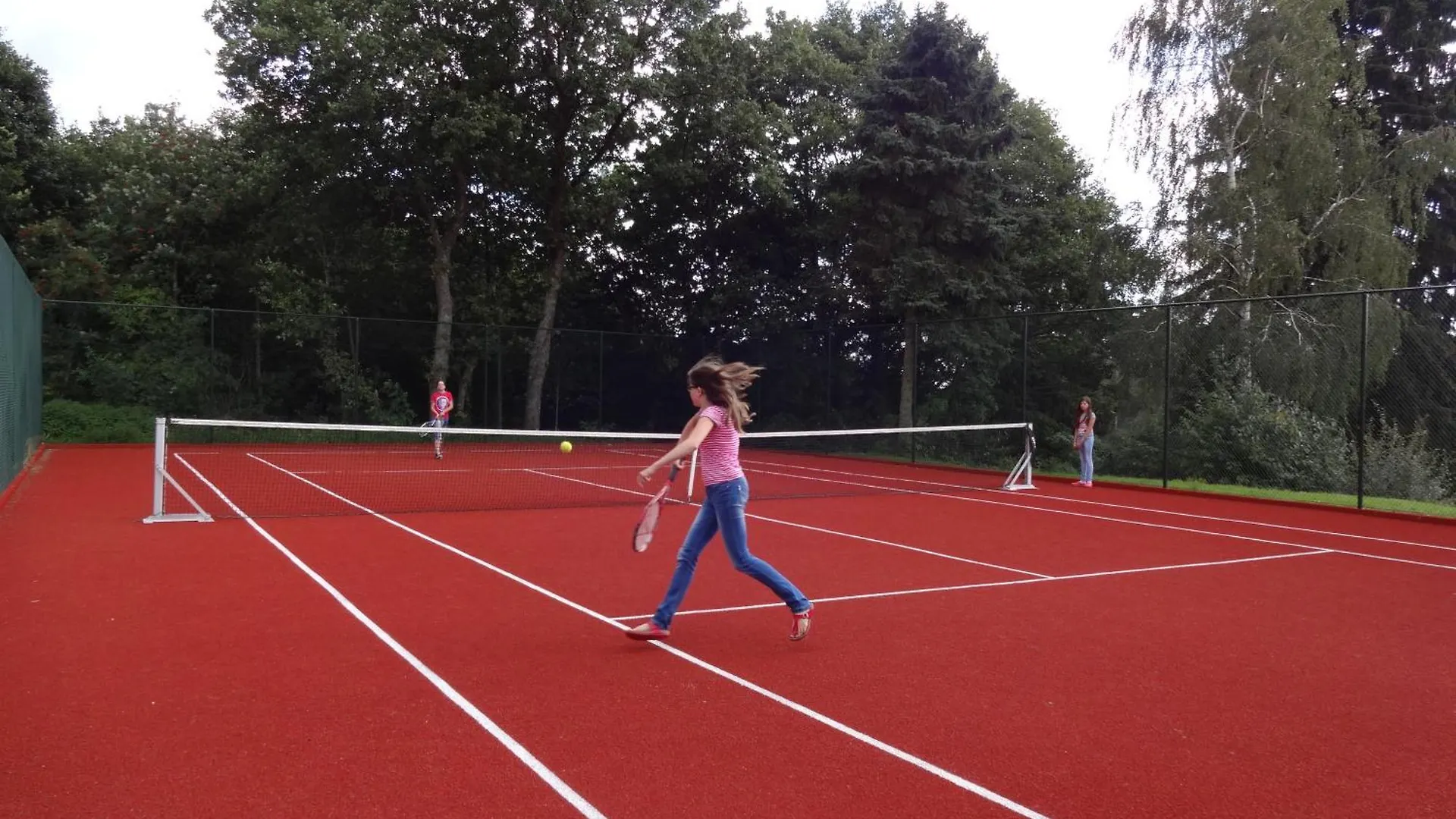 Holiday home La Sapiniere Villa Hosingen Luxembourg