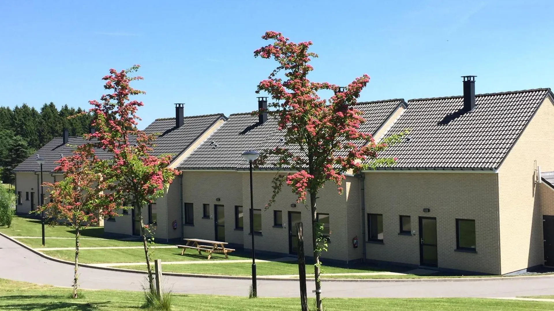 La Sapiniere Villa Hosingen Holiday home